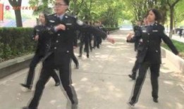 冇警时份在线观看,揭秘黑暗中的正义之战